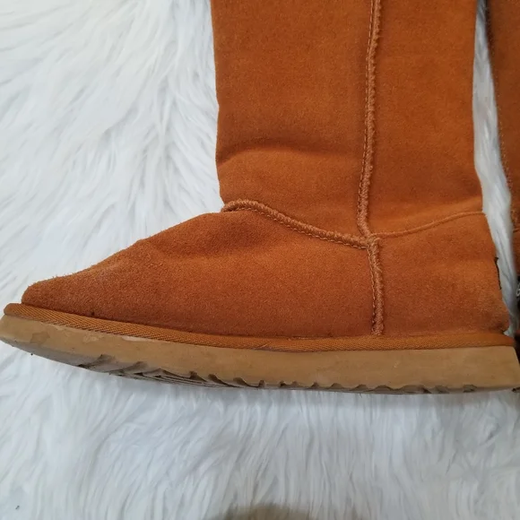 COPY - UGG Chestnut Boots Color Brown SIZE 9 . - Picture 13 of 17